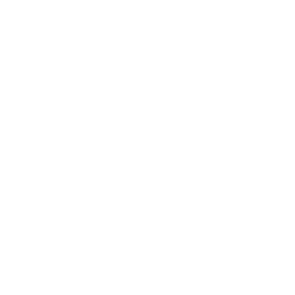 Bailey Fox Pole Classes Spatchcock Logo
